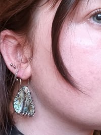 Image 4 of pierced abalone earingsss