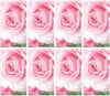 Cherished Rose Prayer Cards