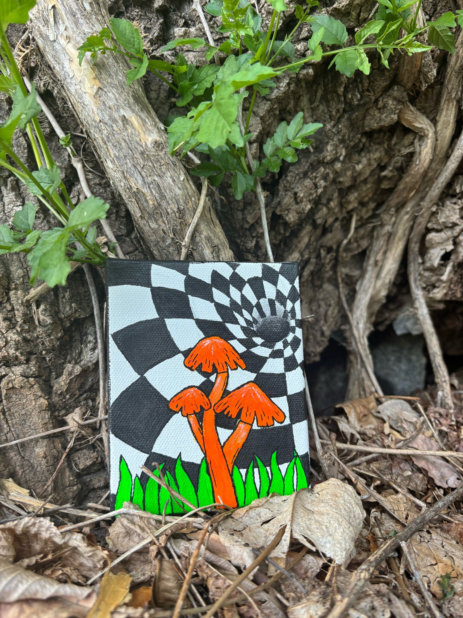Image of Mini mushroom portal