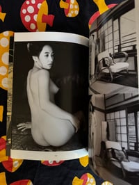 Image 6 of Arakigraph, 1996.