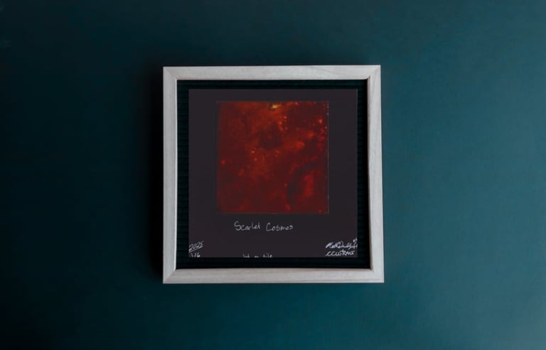 ‘Scarlet Cosmos’ Ink Tile Print Limited Edition 