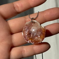 Image 1 of MIRA ☆ s4