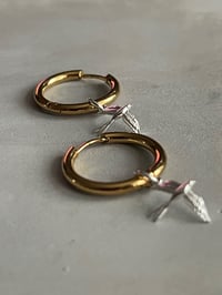 Image 2 of Swifty Swallows