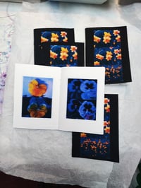 Image 3 of PANSIES & DAFFODILS, handmade sticker book 