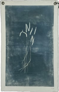 Image 1 of Oat Straw