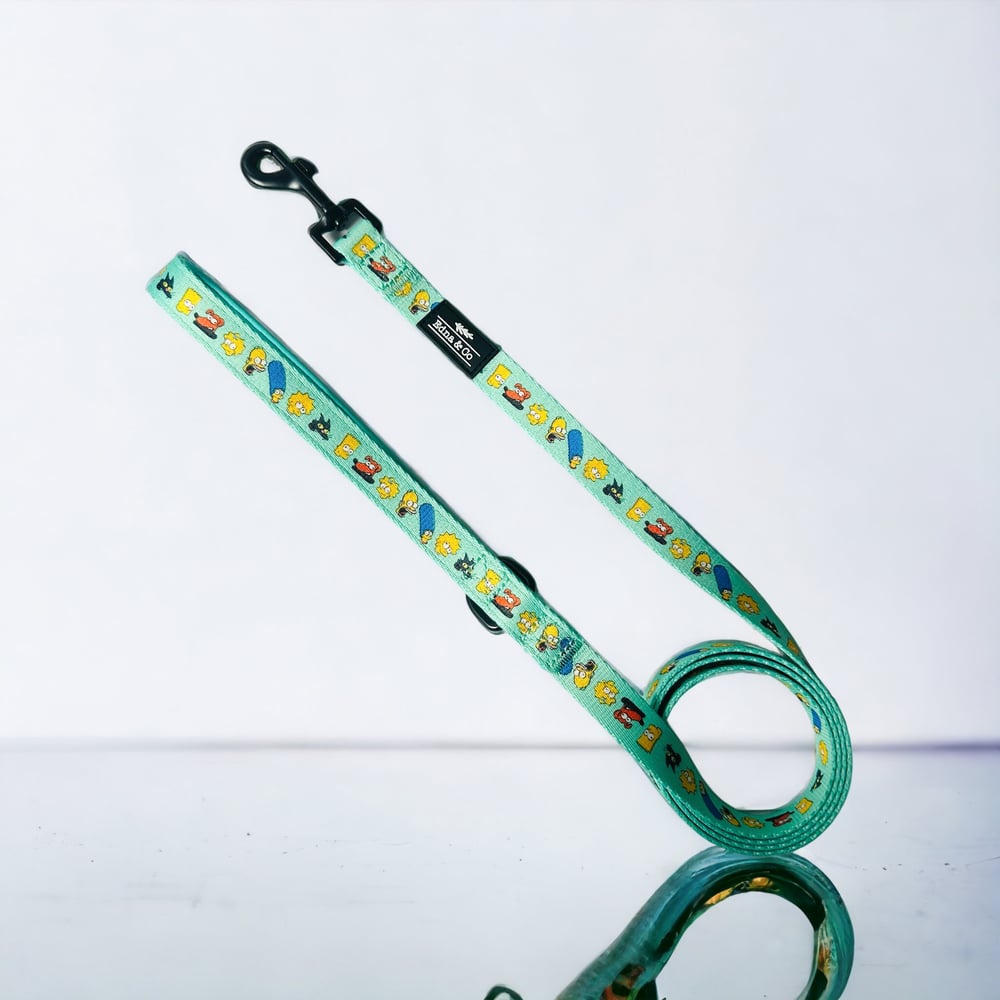 Image of The Simpsons Collection - Leash