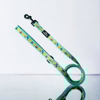 The Simpsons Collection - Leash