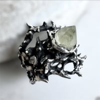 Image 3 of Ring of Thorns