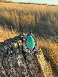 Image 4 of The Cactus Bloom