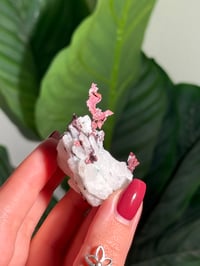 Image 3 of COPPER X MALACHITE STAINED QUARTZ -MOROCCO- D