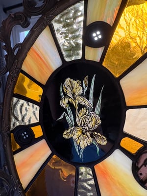 Image of Iris in Orbit