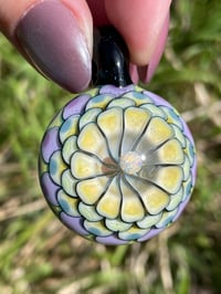 Image 1 of Lime Spring 