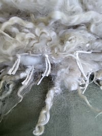 Image 8 of Curly Wool Throw