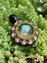 Image 6 of Opal Shells