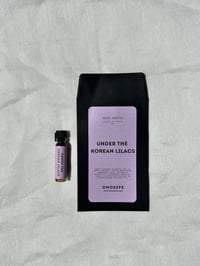 Image 2 of UNDER THE KOREAN LILACS | Skin Parfum