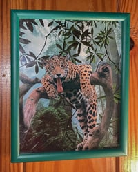 Image 2 of Lazy Leopard Framed Original
