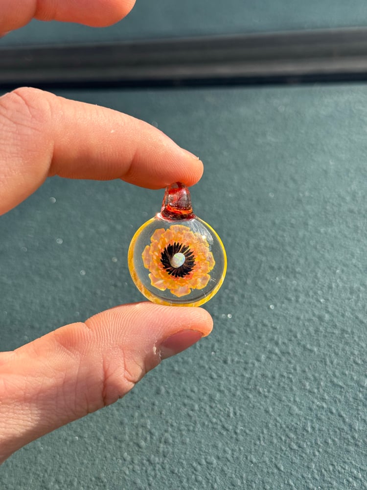 Image of  Pink and yellow opal flower