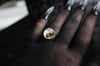 Dead Good naturally deceased wasp ring