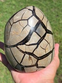 Image 13 of Septarian Nodule Polished Freeform | Madagascar #2897