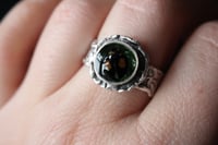 Image 7 of Dead Good harlequin ladybird ring