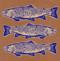 Blue Trout Print