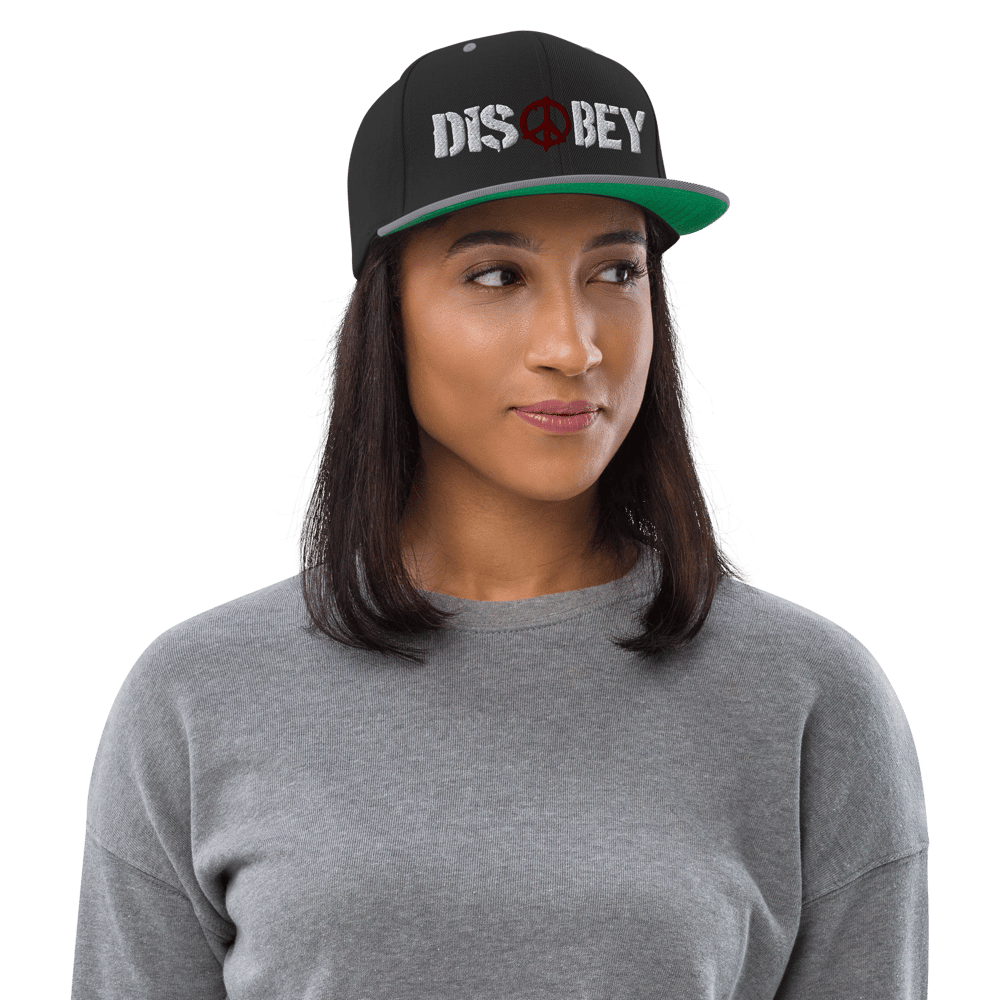 EMBROIDERED SNAPBACK HAT