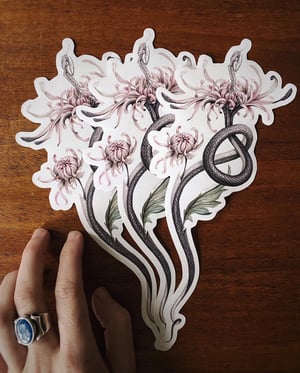 Chrysanthemum XL Clear Sticker