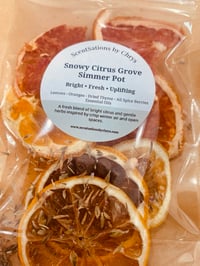 Image 2 of Simmer Pots