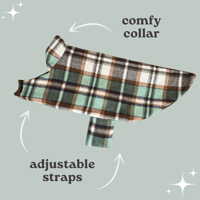 Image 2 of Sage Teddy / Sage and Tan Check Coat