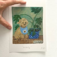 Image 4 of A5 signed print -Teddy the dog 