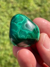 Image 8 of Malachite Polished #1829