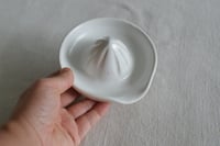 Image 15 of Citrus Juicer