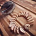 Image of Hawaiian Cowrie lip shell bracelet