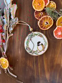 Image 4 of For the Birds