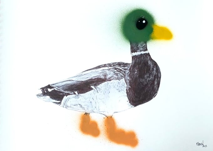Image of Duck It