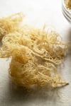 Wildcrafted Gold Sea Moss Gel