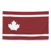 Maplewood Minnesota City Vision Flag