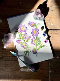 Image 2 of "Campanula" Original