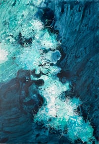 Image 1 of Mycorrhizal Archipelago 