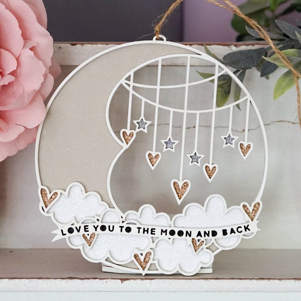 Image of PREORDER To The Moon & Back