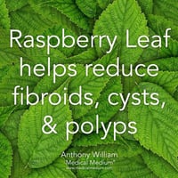 Image 2 of Organic Red Raspberry Leaf Herbal Extract