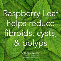 Image 3 of Organic Red Raspberry Leaf Herbal Extract