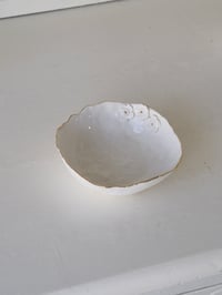 Image 2 of Anemone Dish