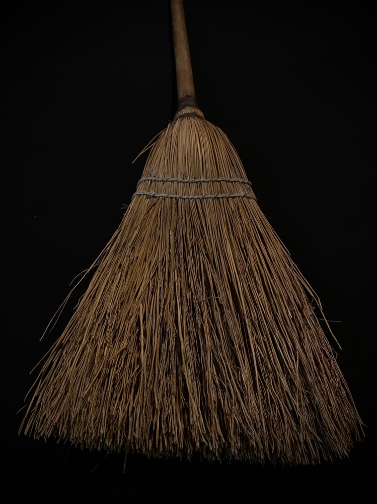Image of Witches Broom