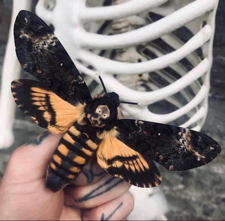 Image of Custom Birthday Gift 