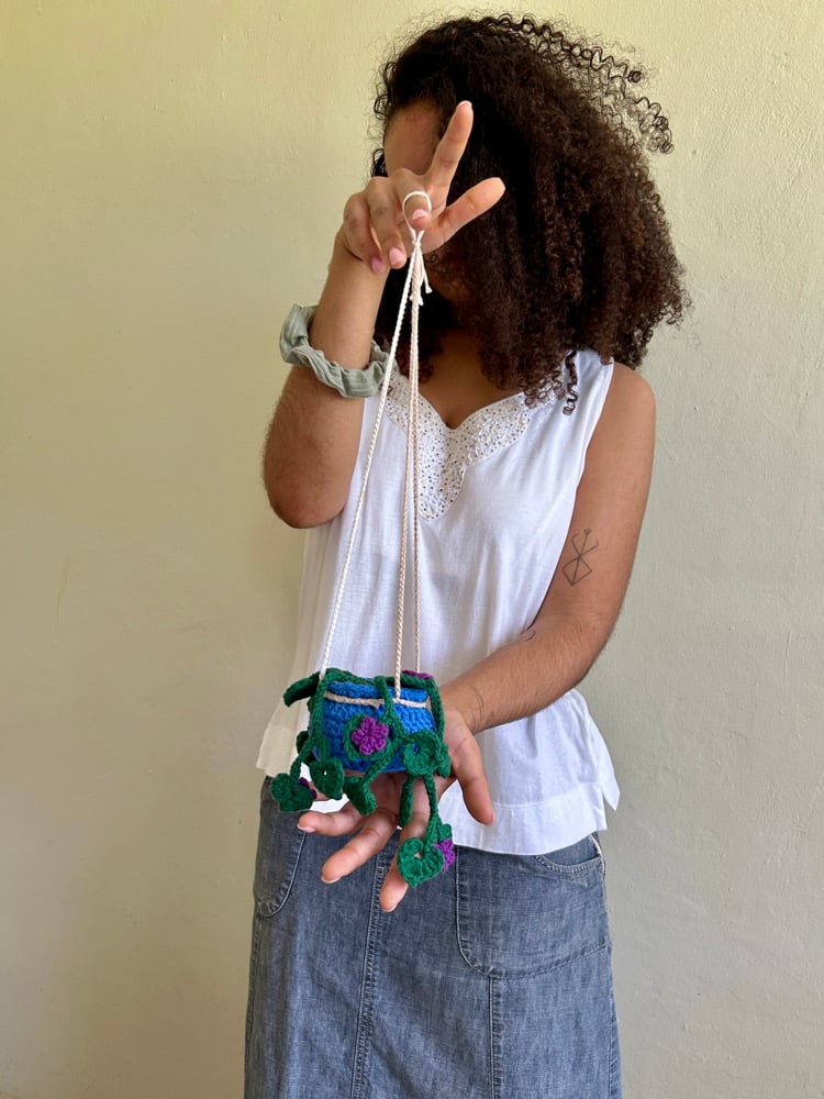 Image of ✧Hanging Bellflower Plant