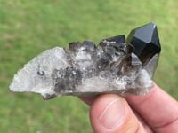 Image 5 of Smoky Quartz Points #1383
