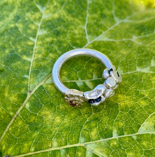 Mollusca ring 