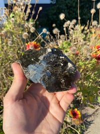 Image 4 of Biotite