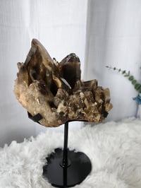 Image 2 of 3.4lb Smoky Quartz Crystal Cluster with Custom Stand